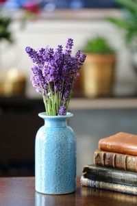 Close-up of flower pot on table