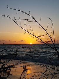 Scenic view of sea during sunset