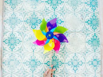 Close-up of colorful flowers
