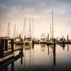 Sailboats moored in harbor against sky