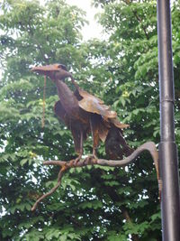 Low angle view of bird on tree