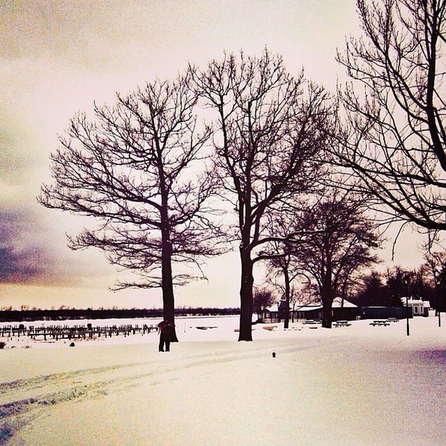 bare tree, tree, branch, tranquility, sky, winter, tranquil scene, snow, cold temperature, nature, beauty in nature, scenics, weather, tree trunk, silhouette, landscape, season, field, sunset, outdoors