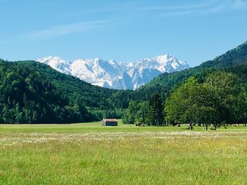 Scenic view of field and mountains against sky