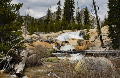 A small waterfall on the merced river, in yosemite's backcountry. scenic waterfall in the forest. 