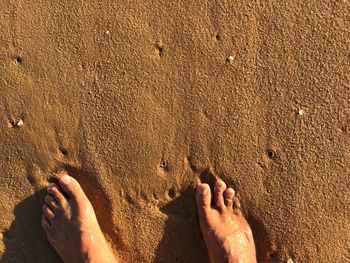 Low section of person standing on beach