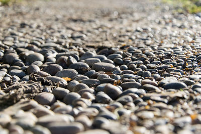 Surface level of pebbles