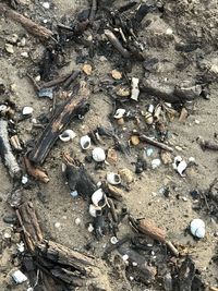 High angle view of beach