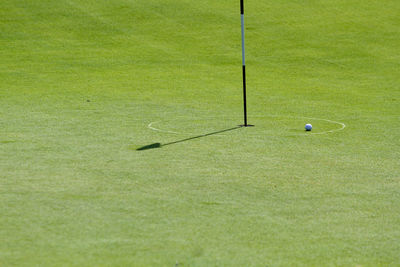 Ball on golf course in sunny day