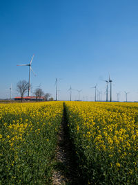 Scenic view of field against yellow sky