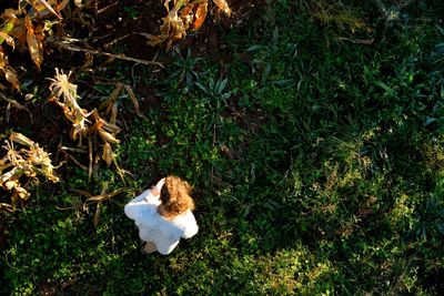 High angle view of woman on grass