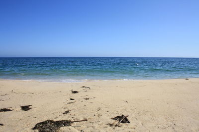Scenic view of beach against clear blue sky