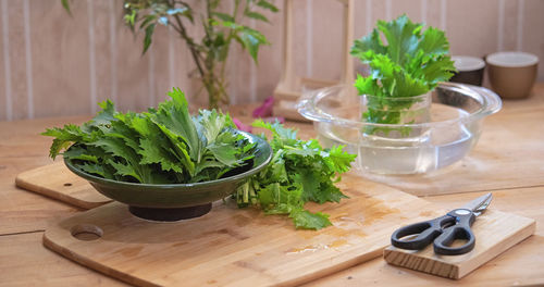 Potted plant on table