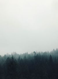 Scenic view of foggy forest against sky