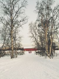 Bare trees on snow covered landscape