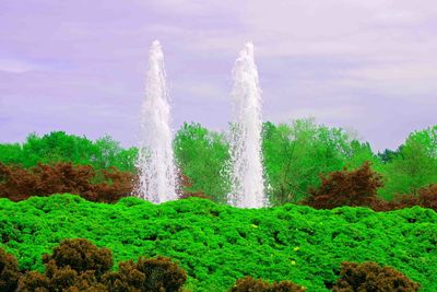Scenic view of water flowing through rocks