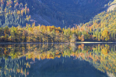 Scenic view of lake in forest during autumn