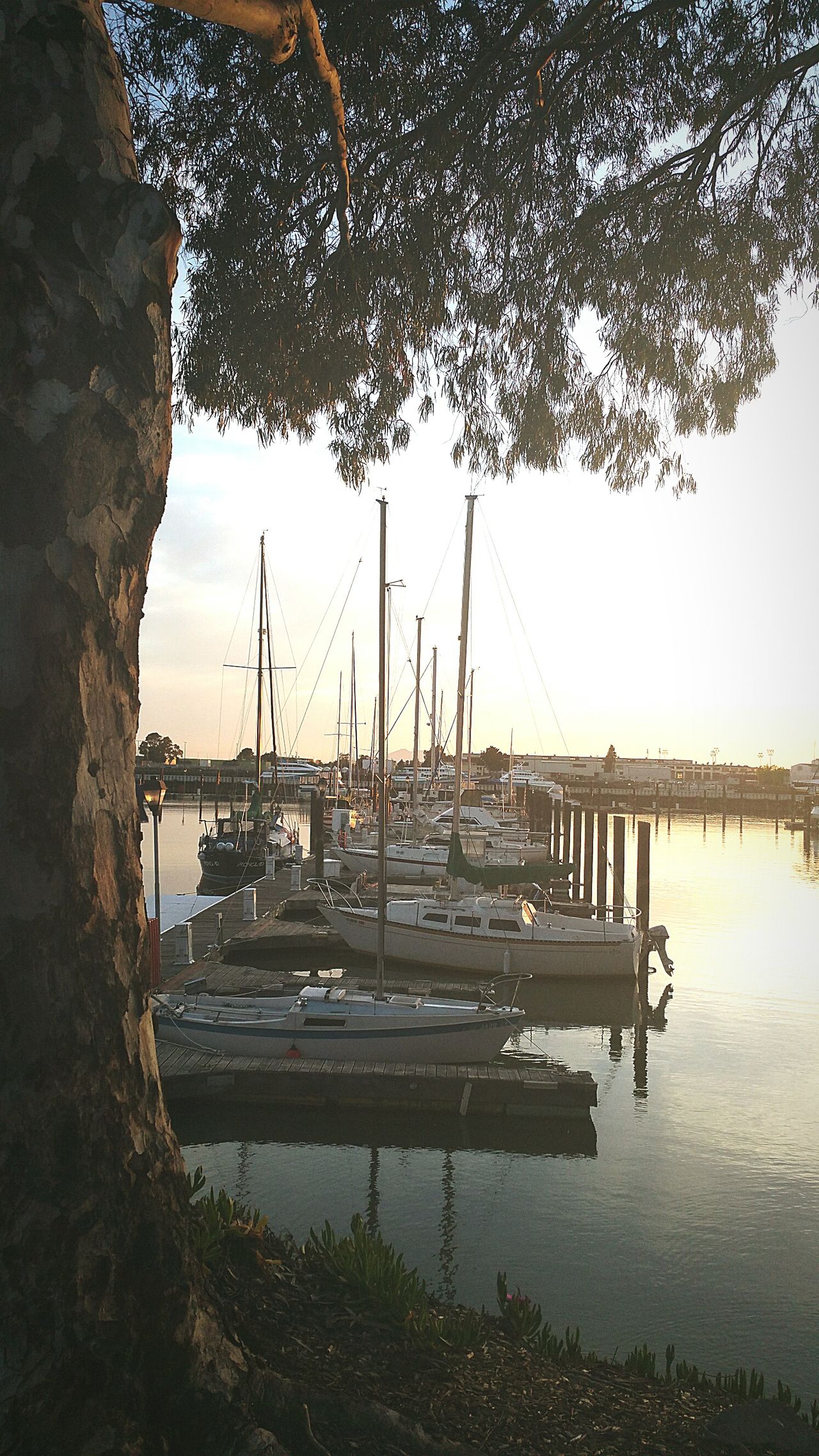 Vallejo Marina Sunset and another day ends.. Solano County US