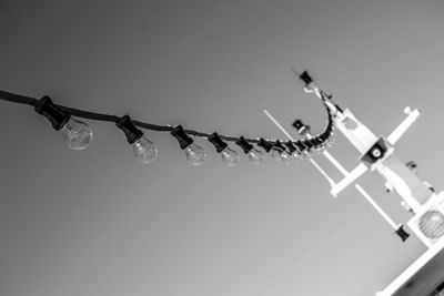 Low angle view of birds perching on roof against clear sky