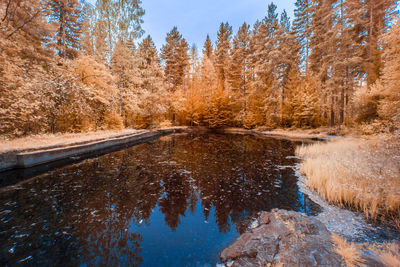 Reflection of trees in lake during autumn