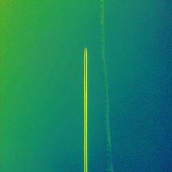 Close up of green plant against blue sky