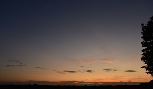 Low angle view of silhouette trees against sky at sunset