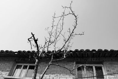 Low angle view of old building