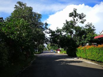 Road amidst trees against sky