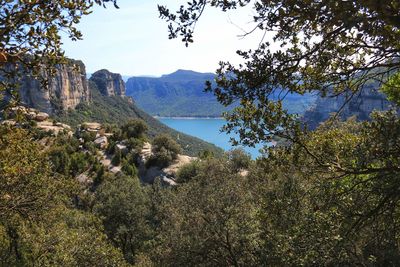 Scenic view of trees and mountains against sky