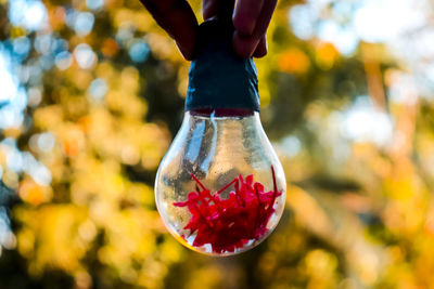 Close-up of hand holding glass bottle