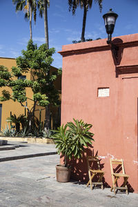 Potted plants on street by building against sky