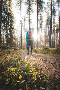 Rear view of man walking in forest