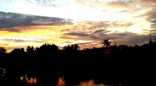 Silhouette of trees at sunset