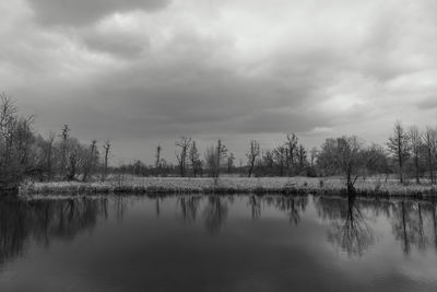 Scenic view of lake by trees against sky