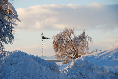 Frozen trees on field against sky during winter