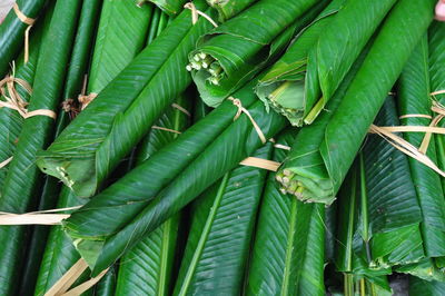 Full frame shot of green leaves
