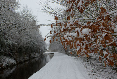 Snow covered road by trees against sky