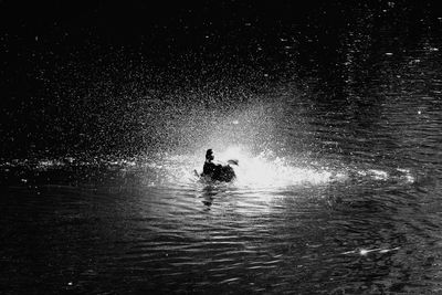 Silhouette swimming in water