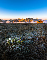 Scenic view of field against sky during sunset