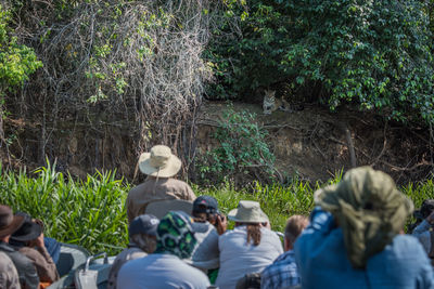 Rear view of tourists photographing jaguar resting below trees at forest