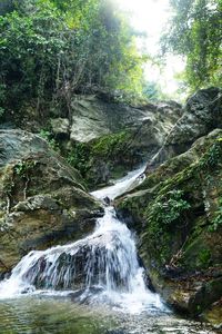 View of waterfall in forest