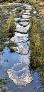 High angle view of footpath by river