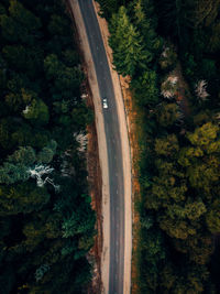 High angle view of road amidst trees