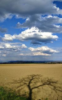 Scenic view of beach against cloudy sky