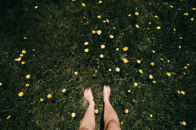 Low section of woman standing on field