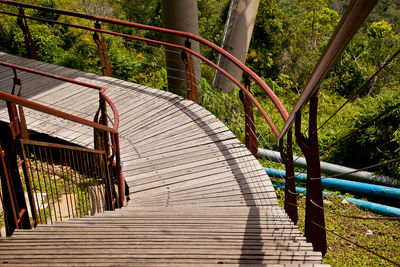 Narrow stairs along trees