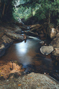 River flowing through rocks in forest