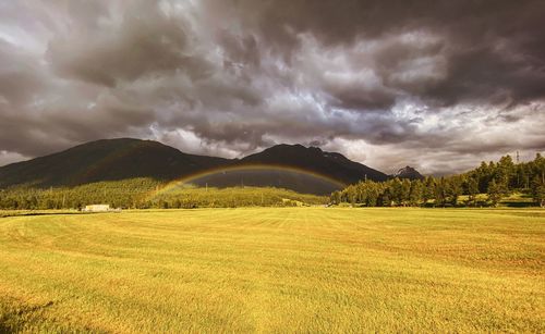 Scenic view of field against sky
