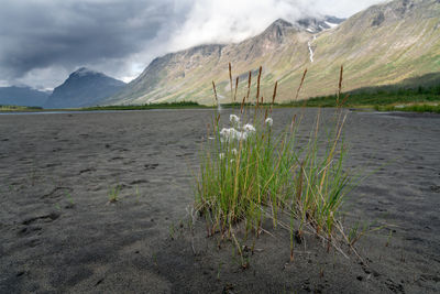 Scenic view of lake against mountains