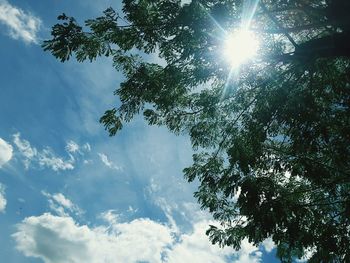 Low angle view of tree against sky