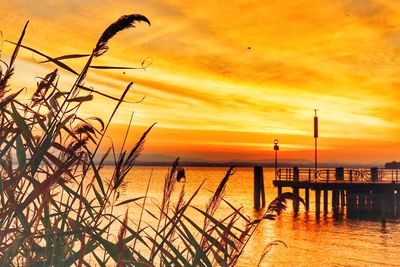 Scenic view of sea against orange sky